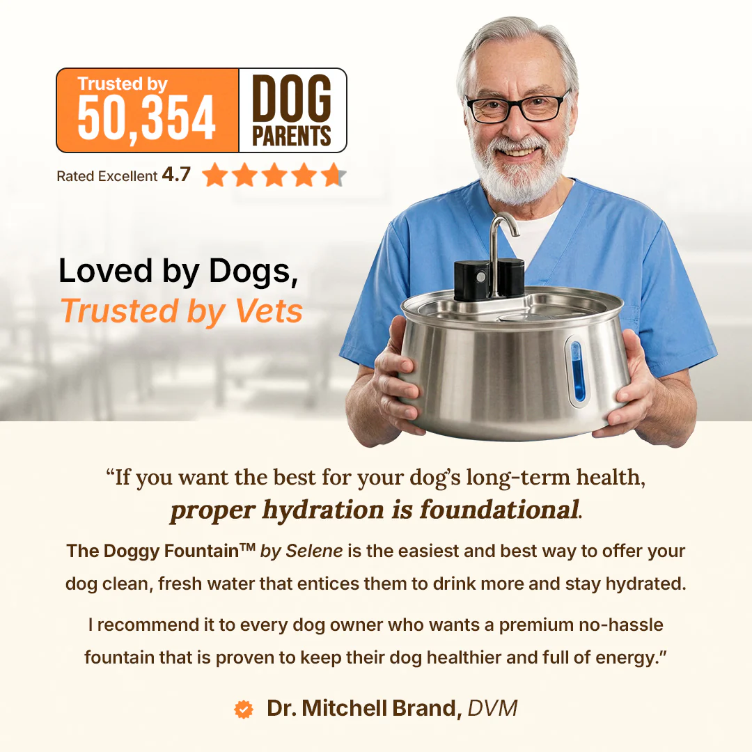 The Doggy Fountain™ - Image 11