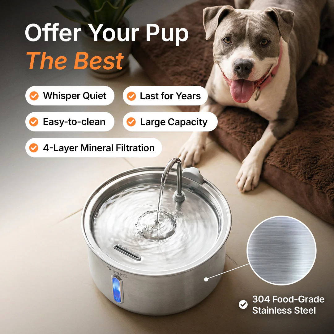 The Doggy Fountain™ - Image 2