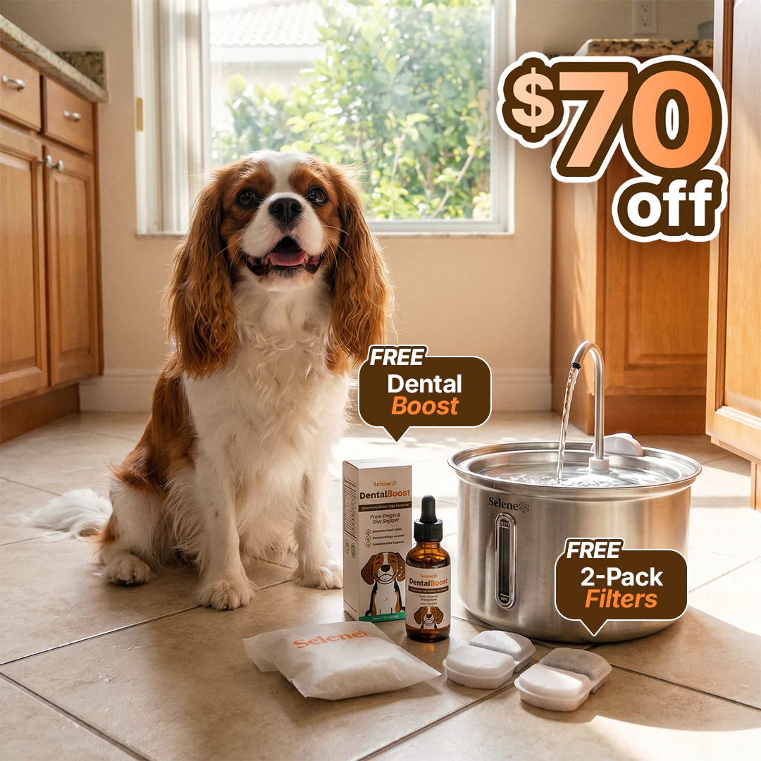 The Doggy Fountain™ - Image 13