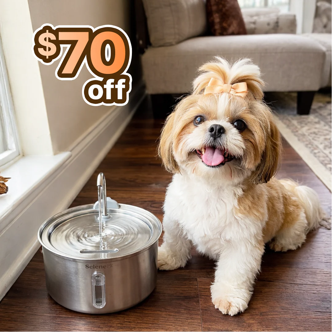 The Doggy Fountain™ - Image 19
