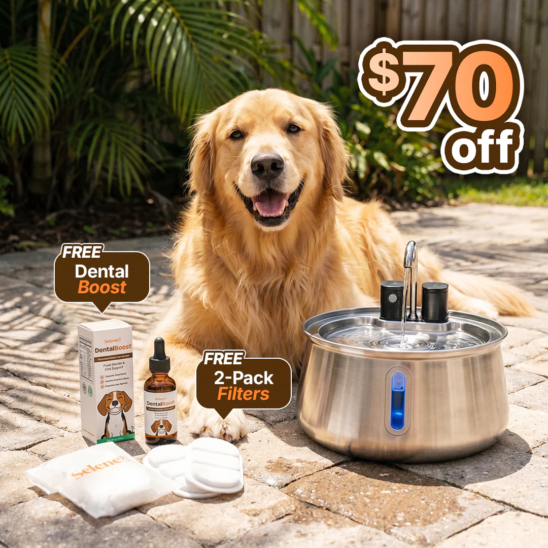 The Doggy Fountain™ - Image 25