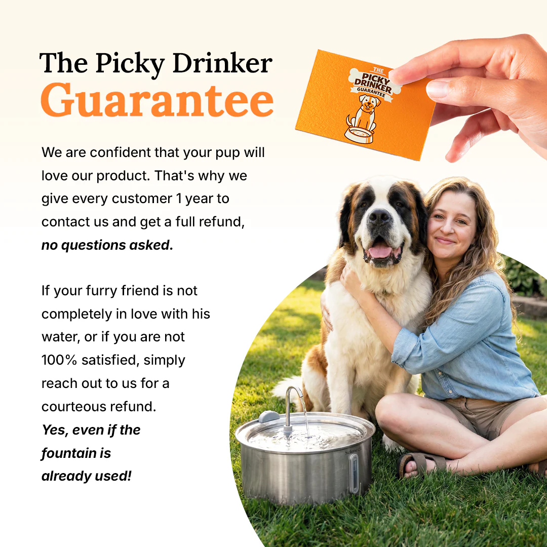 The Doggy Fountain™ - Image 5