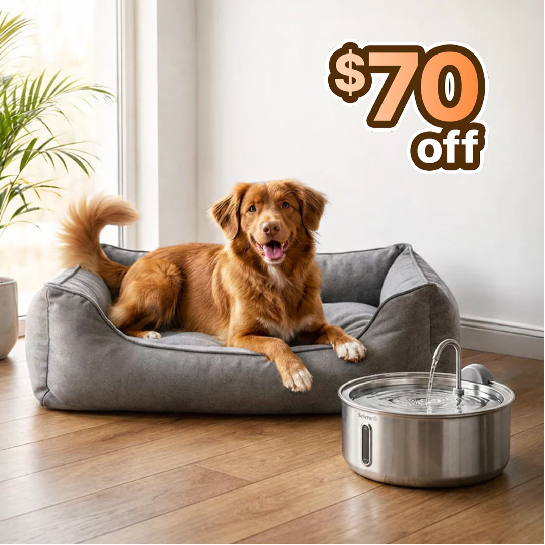 The Doggy Fountain™ - Image 7