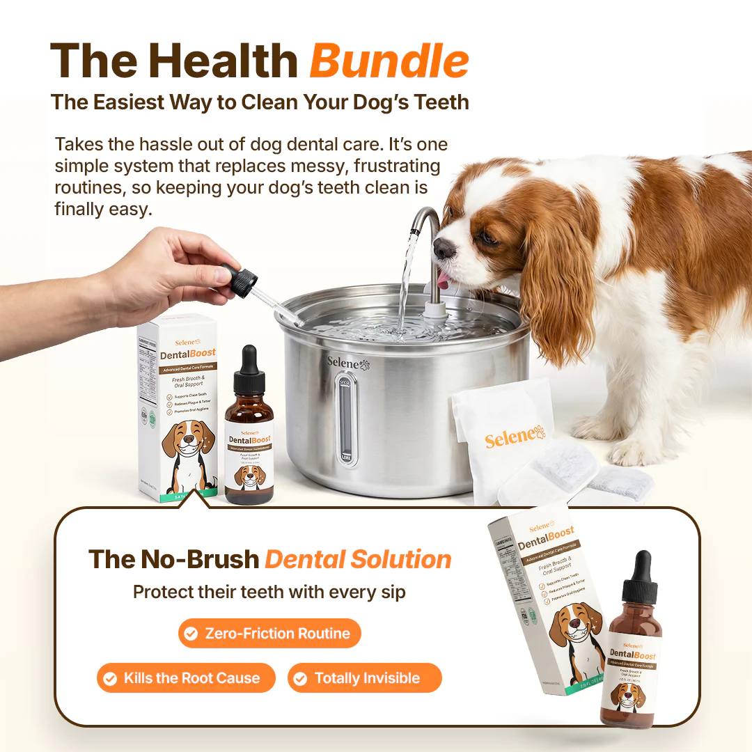 The Doggy Fountain™ Health Bundle - Image 12