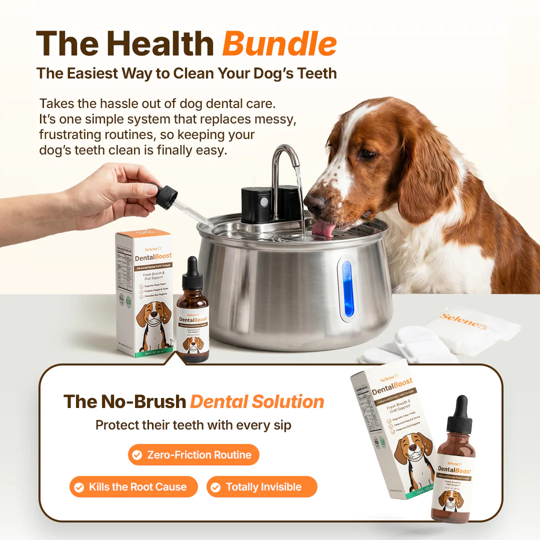 The Doggy Fountain™ Health Bundle - Image 19