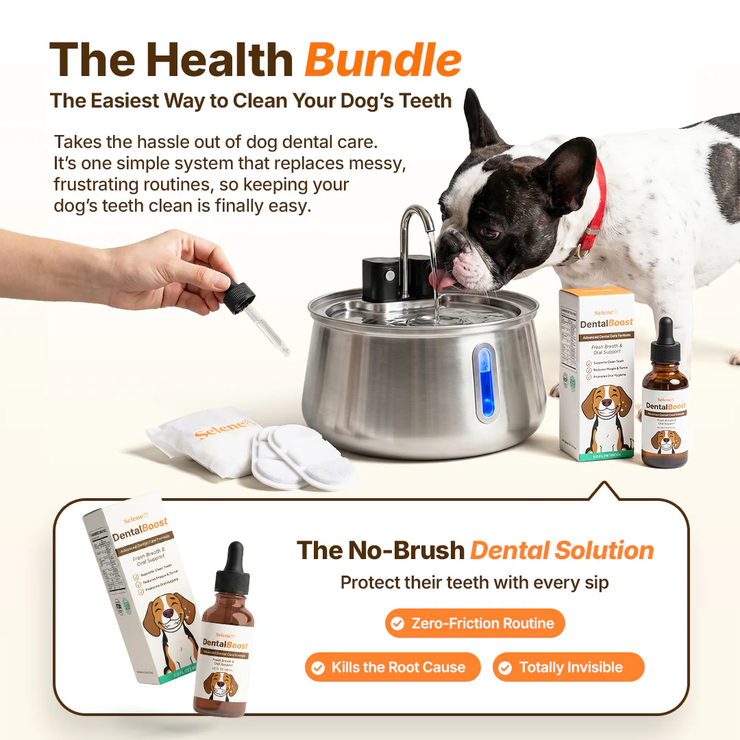 The Doggy Fountain™ Health Bundle - Image 26