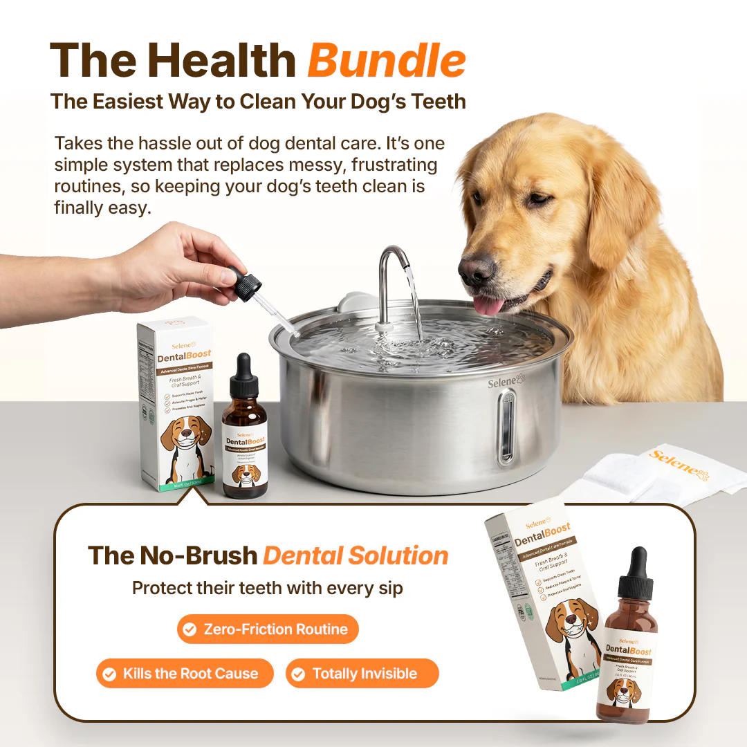The Doggy Fountain™ Health Bundle - Image 4