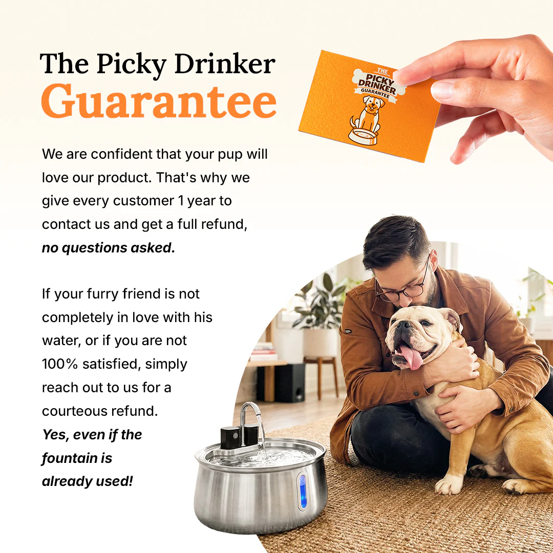 The Doggy Fountain™ - Image 27