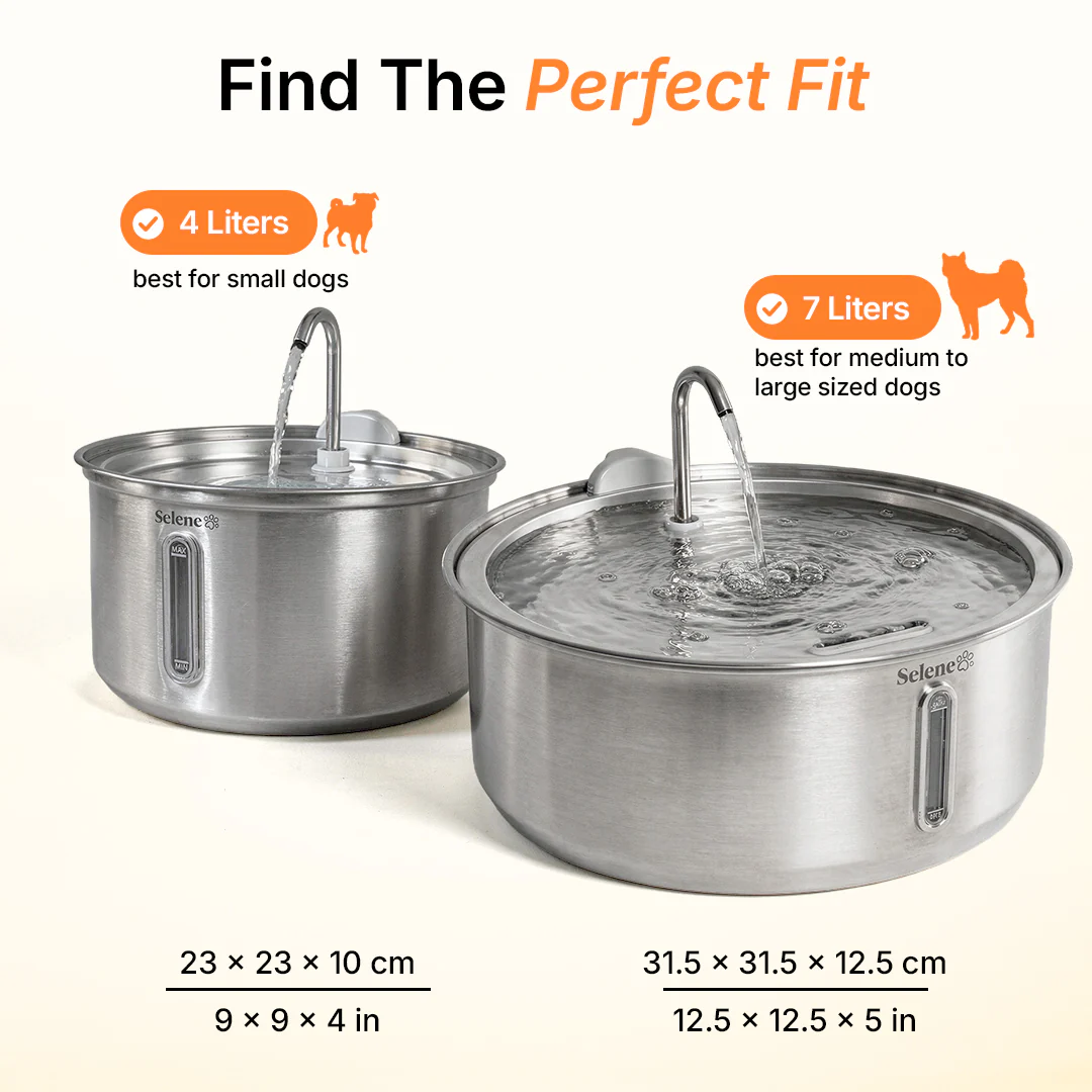 The Doggy Fountain™ - Image 7