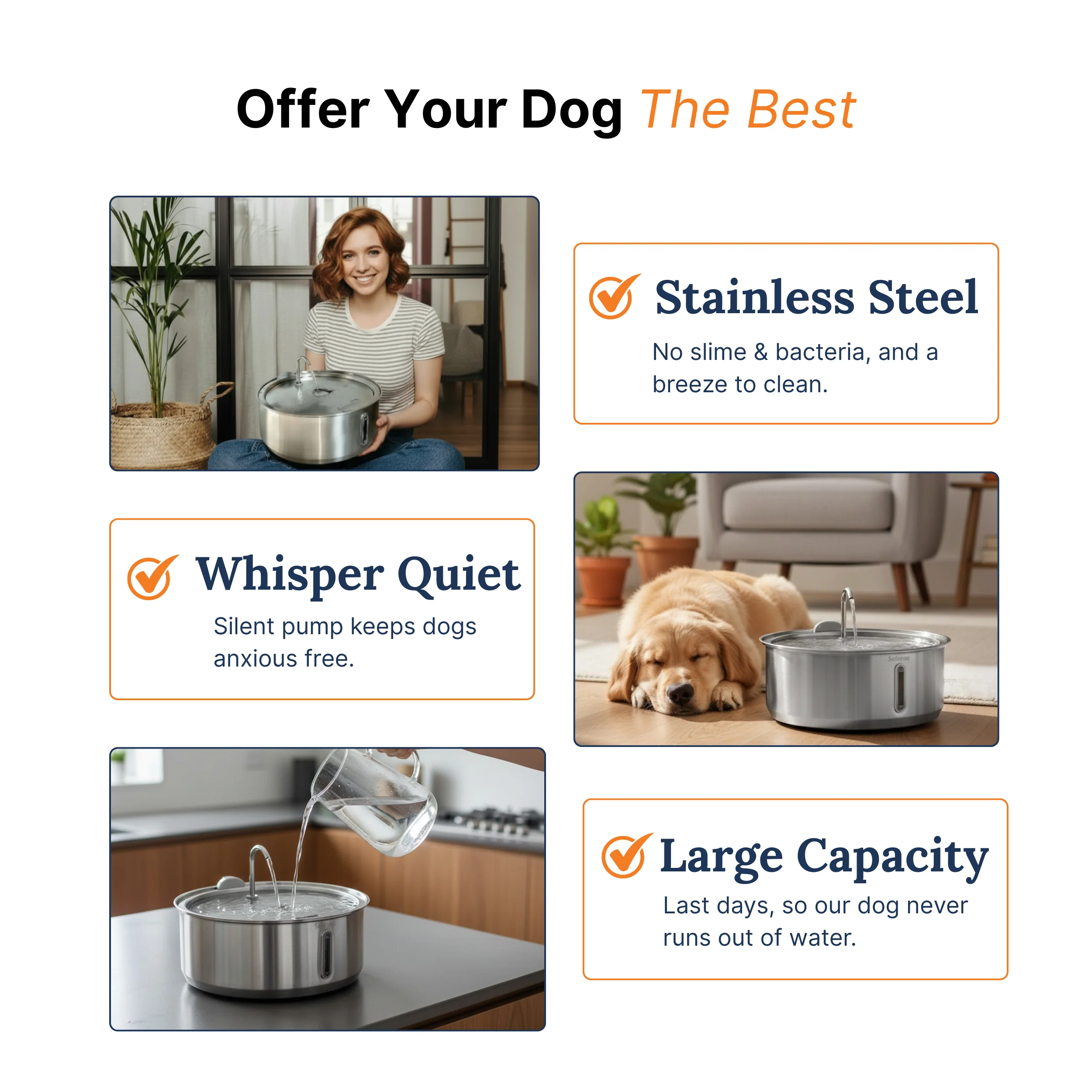 The Doggy Fountain™ - Image 2