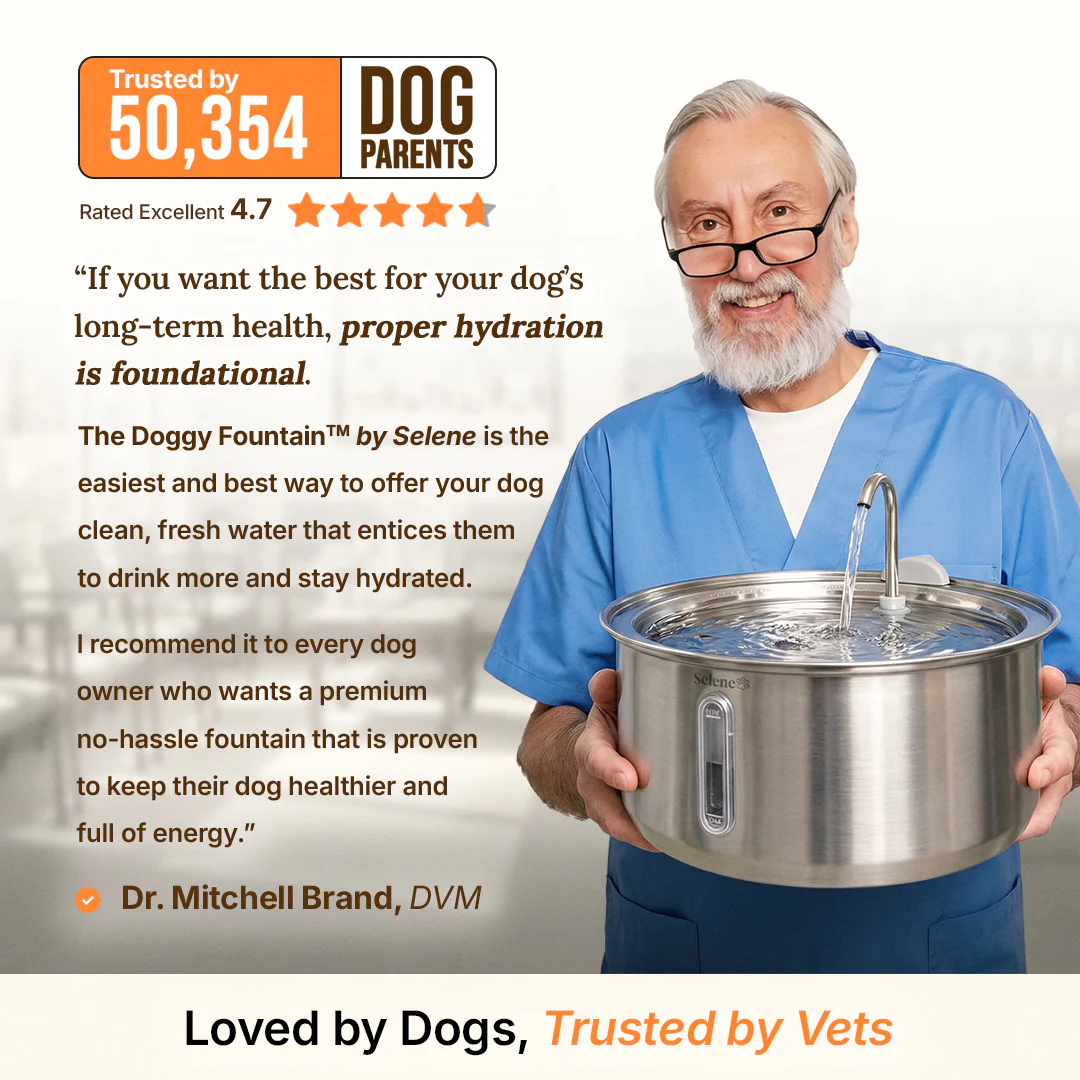 The Doggy Fountain™ - Image 6