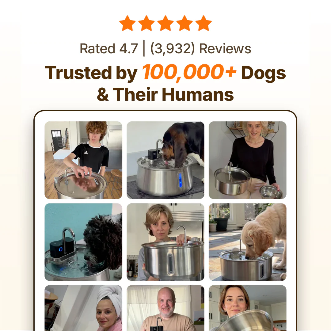 The Doggy Fountain™ - Image 32