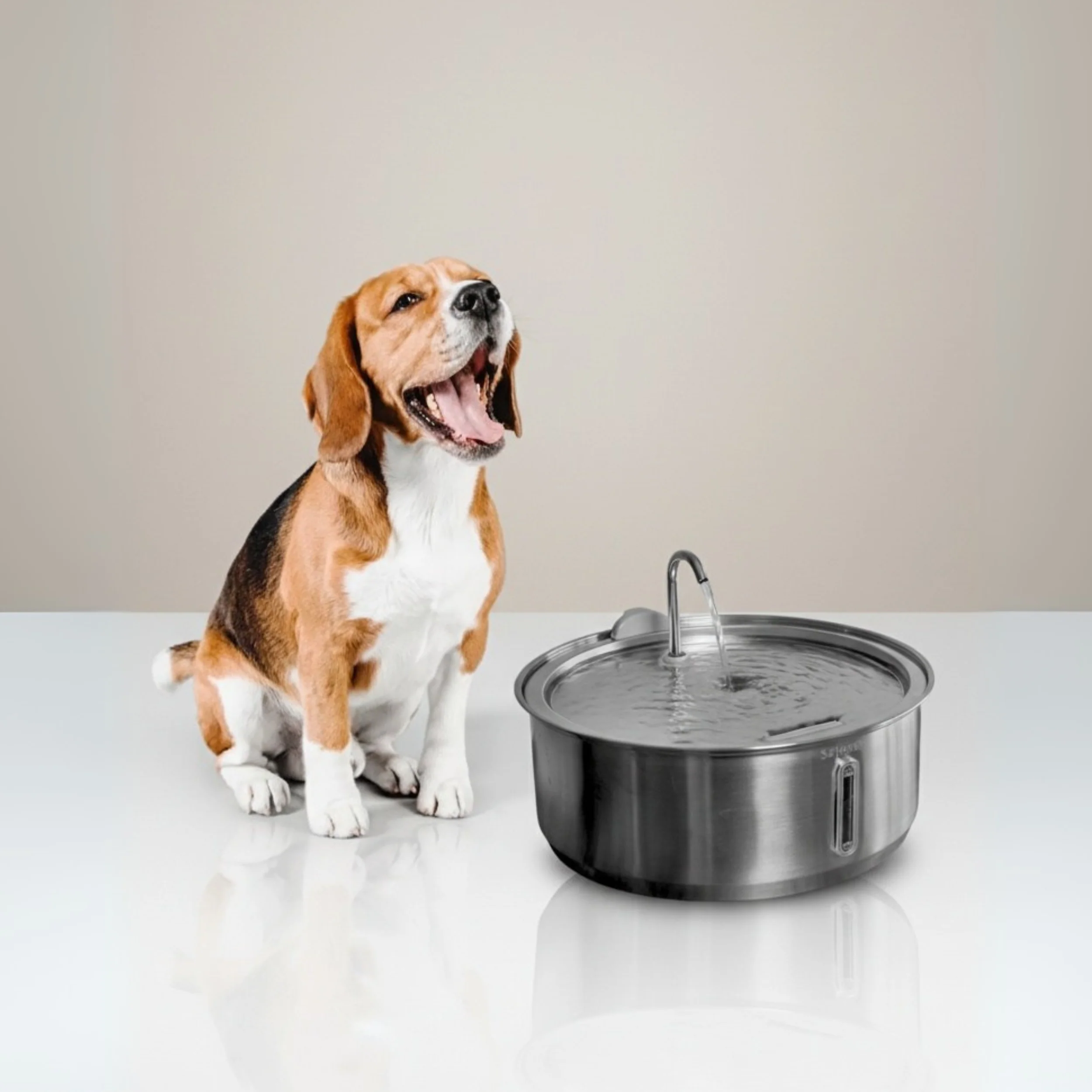 The Doggy Fountain™ - Image 11