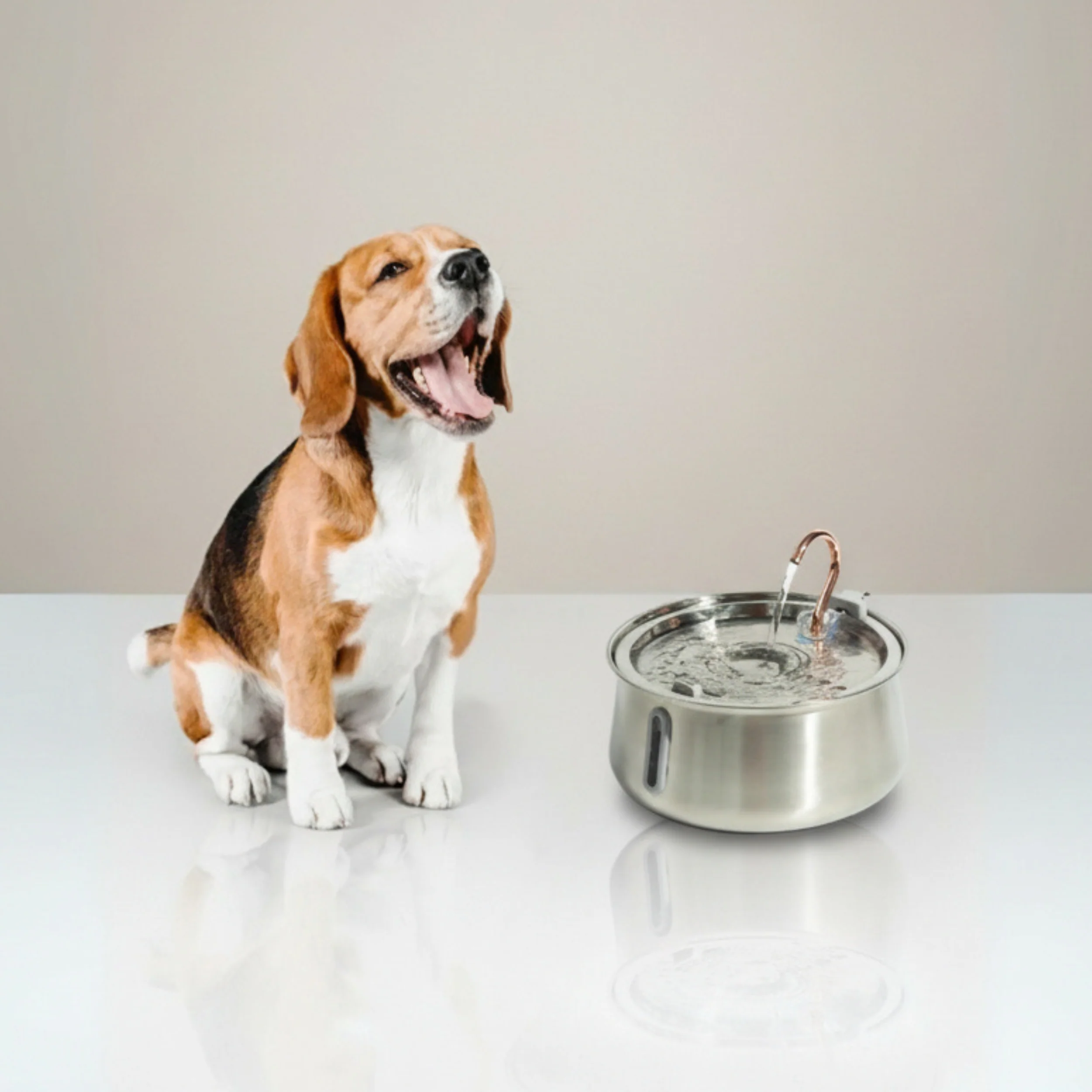 The Doggy Fountain™ - Image 9