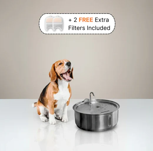 The Doggy Fountain™