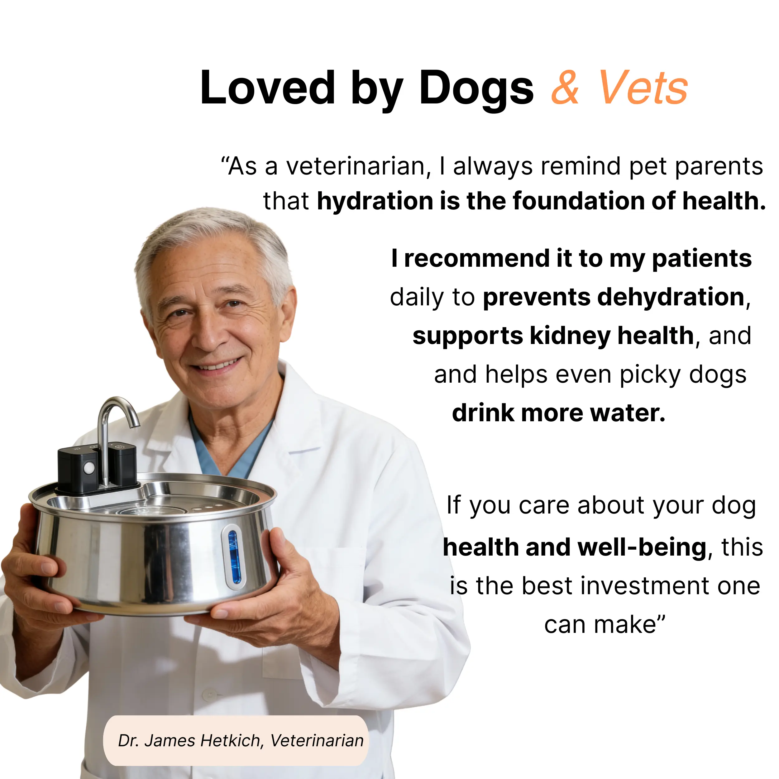 The Doggy Fountain™ - Image 16