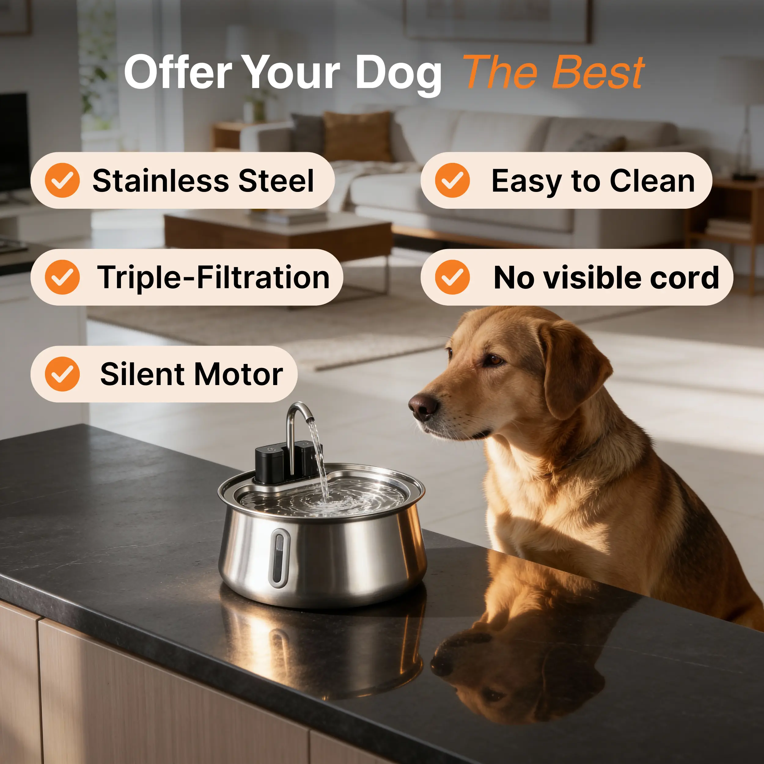 The Doggy Fountain™ - Image 2