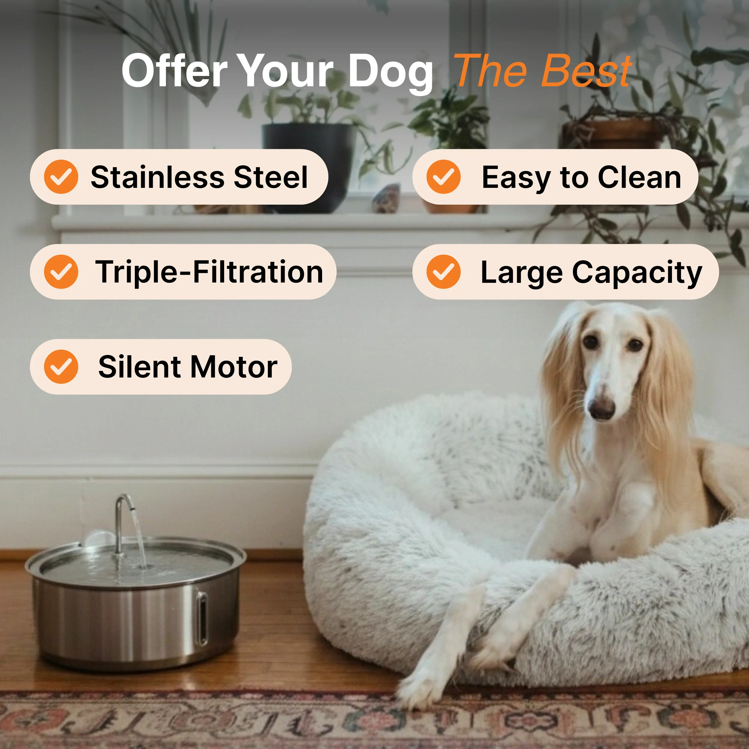 The Doggy Fountain™ - Image 20