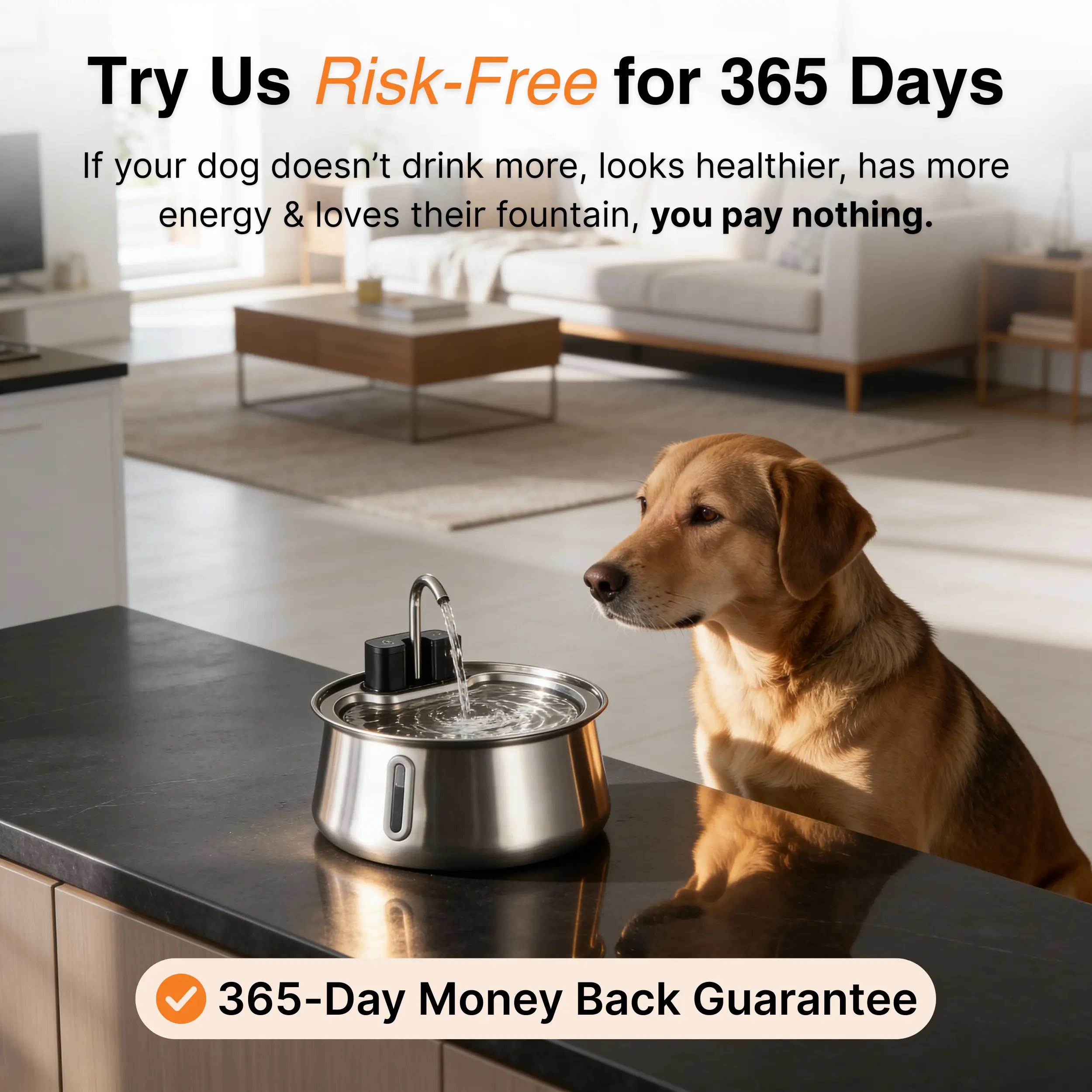 The Doggy Fountain™ - Image 23