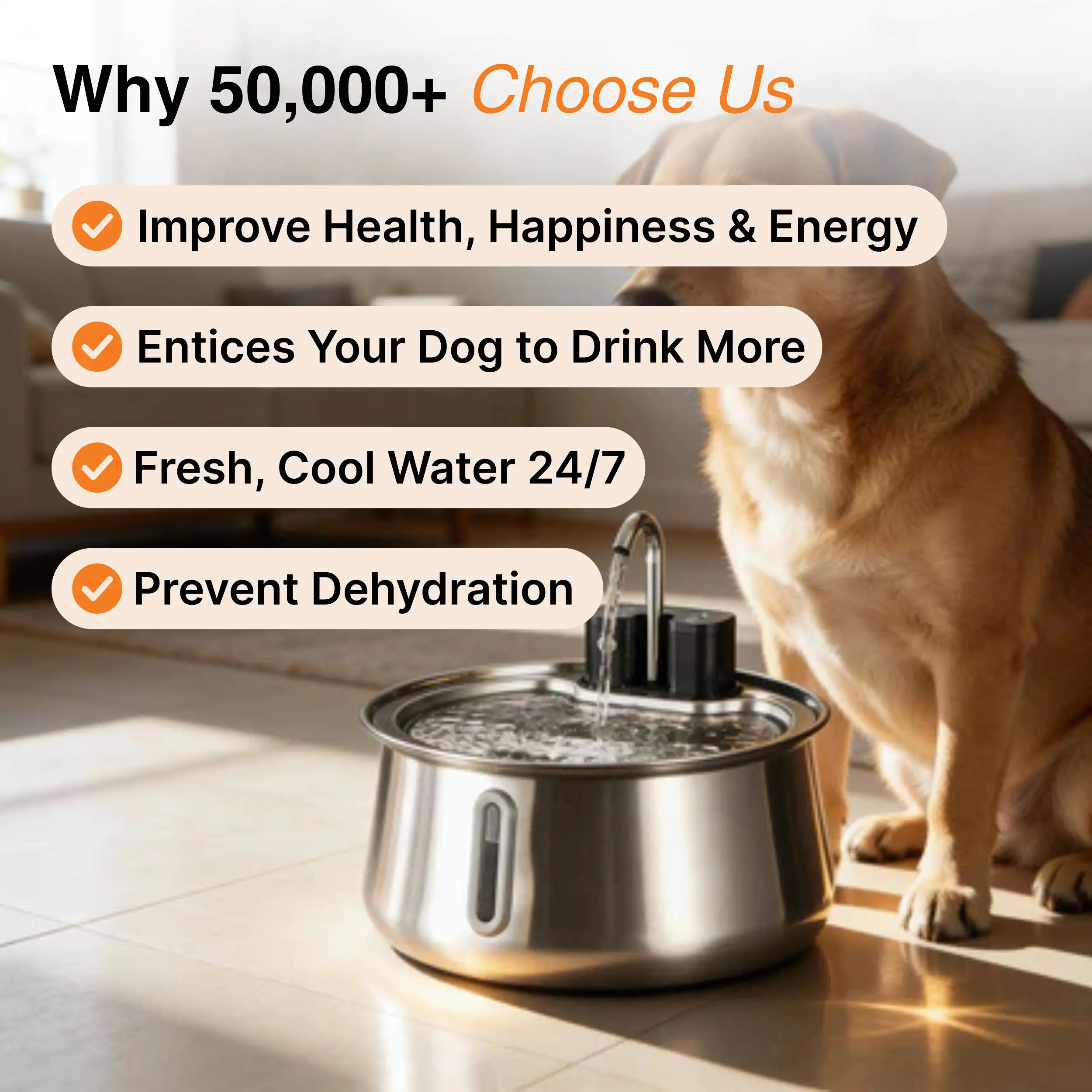 The Doggy Fountain™ - Image 3