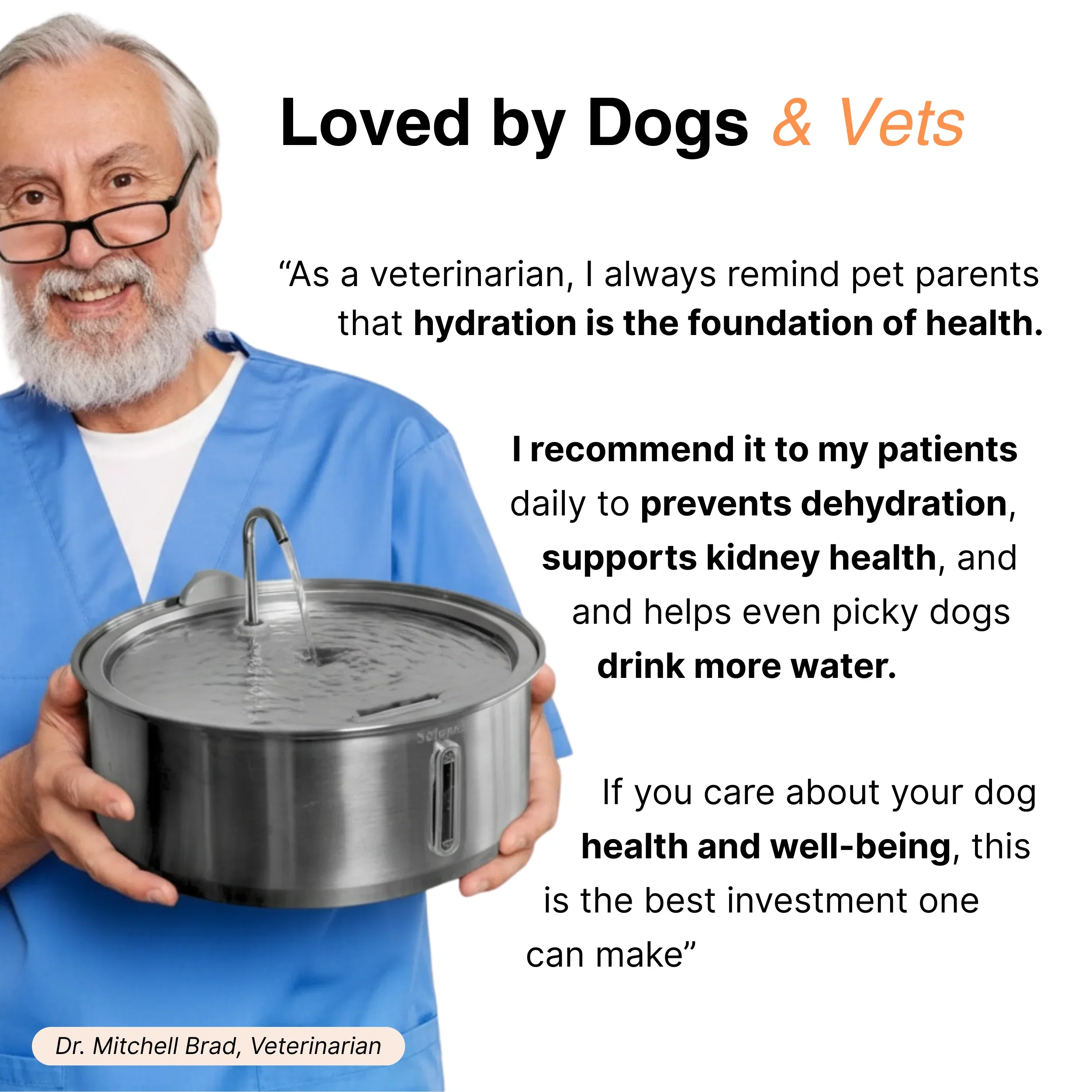 The Doggy Fountain™ - Image 4