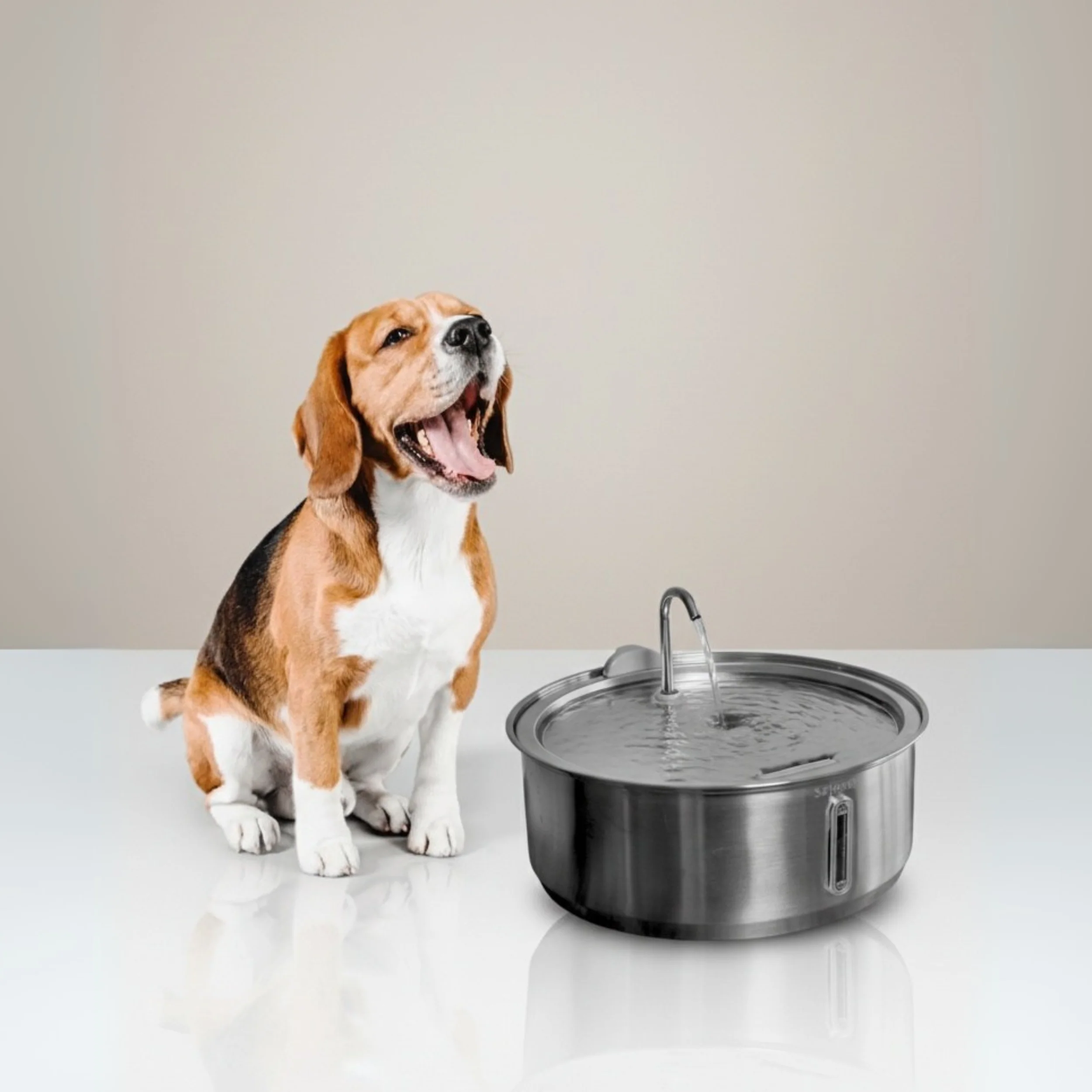 The Doggy Fountain™