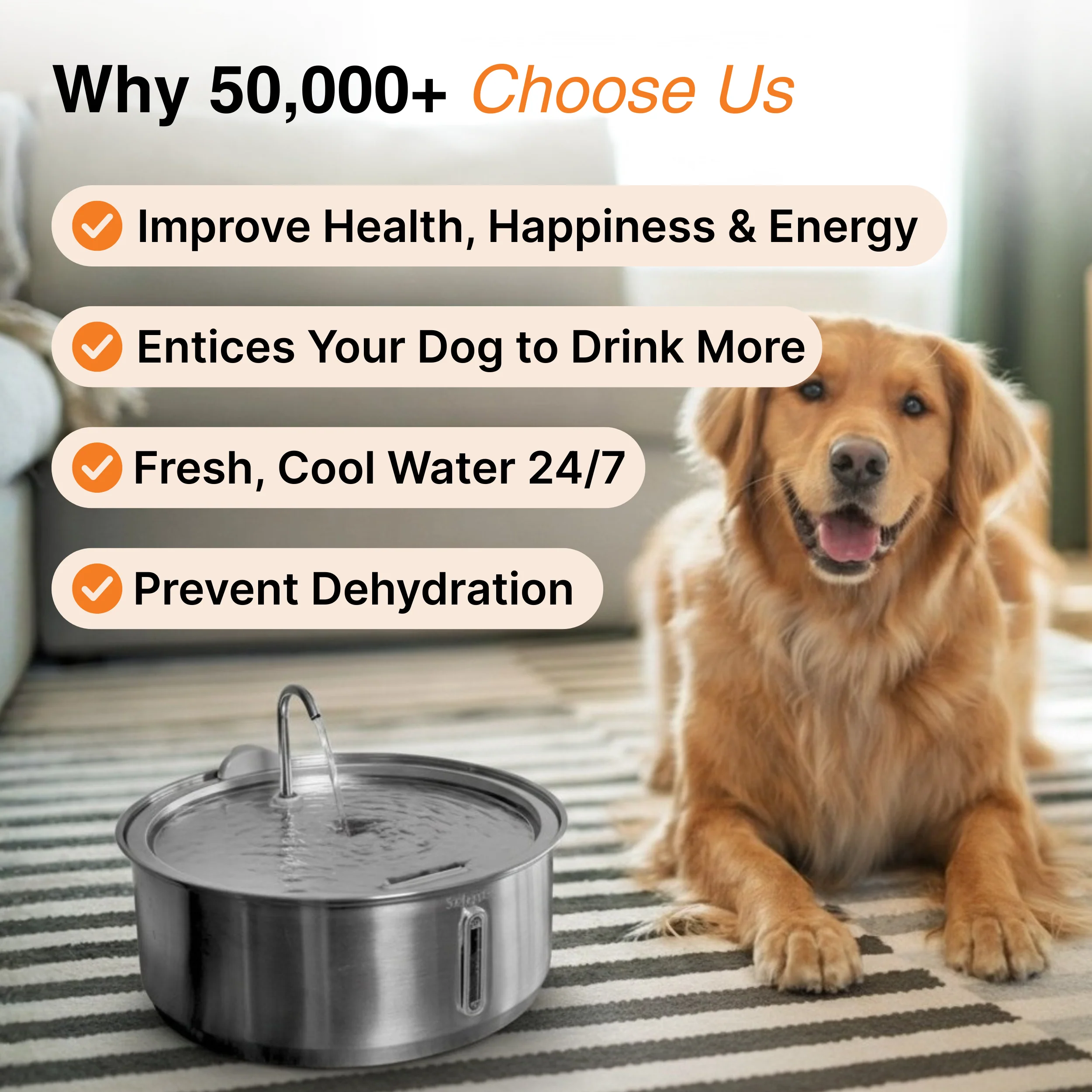 Doggy Fountain Duo Pack - Image 3