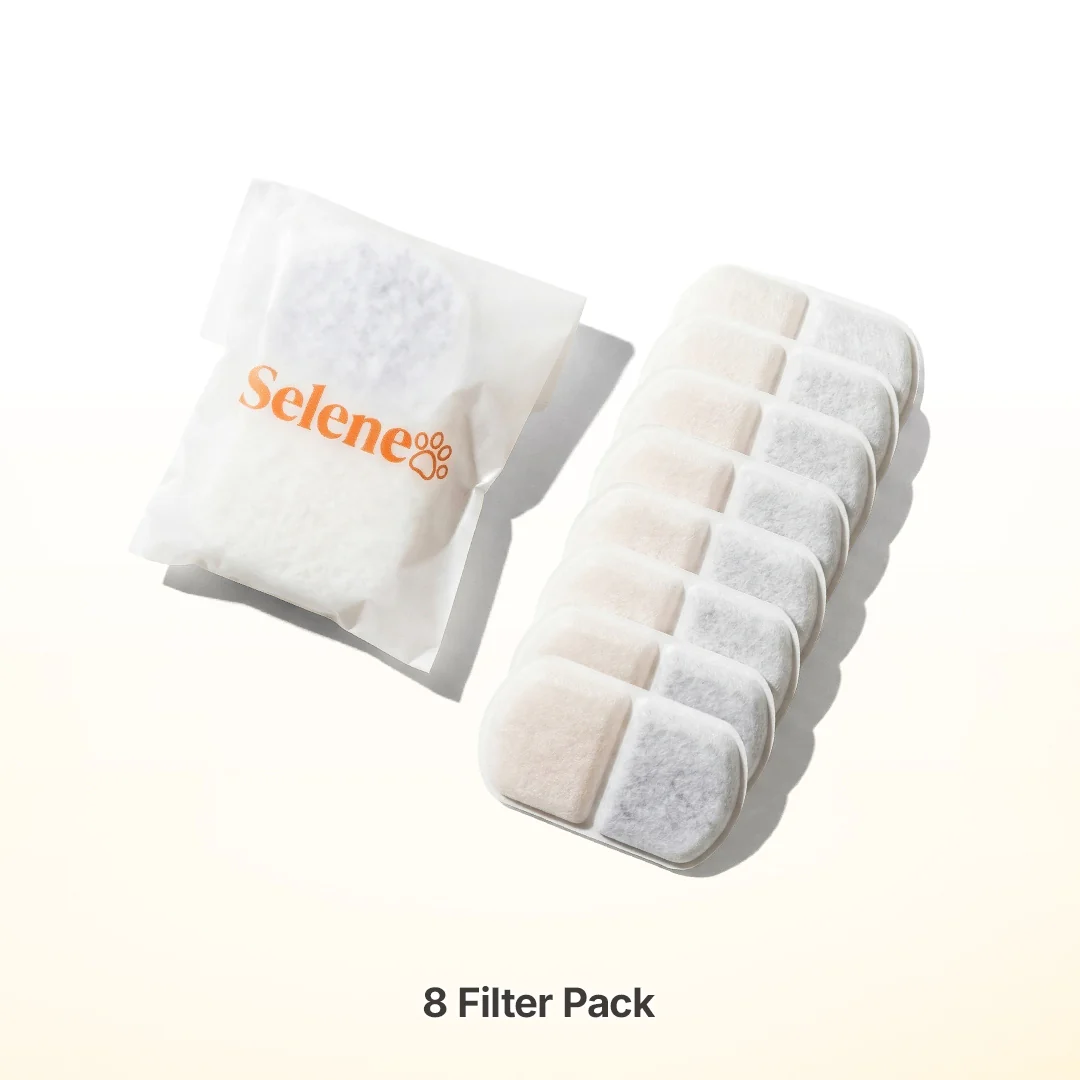 Plug-In 2.0 Fountain Filters - Image 4