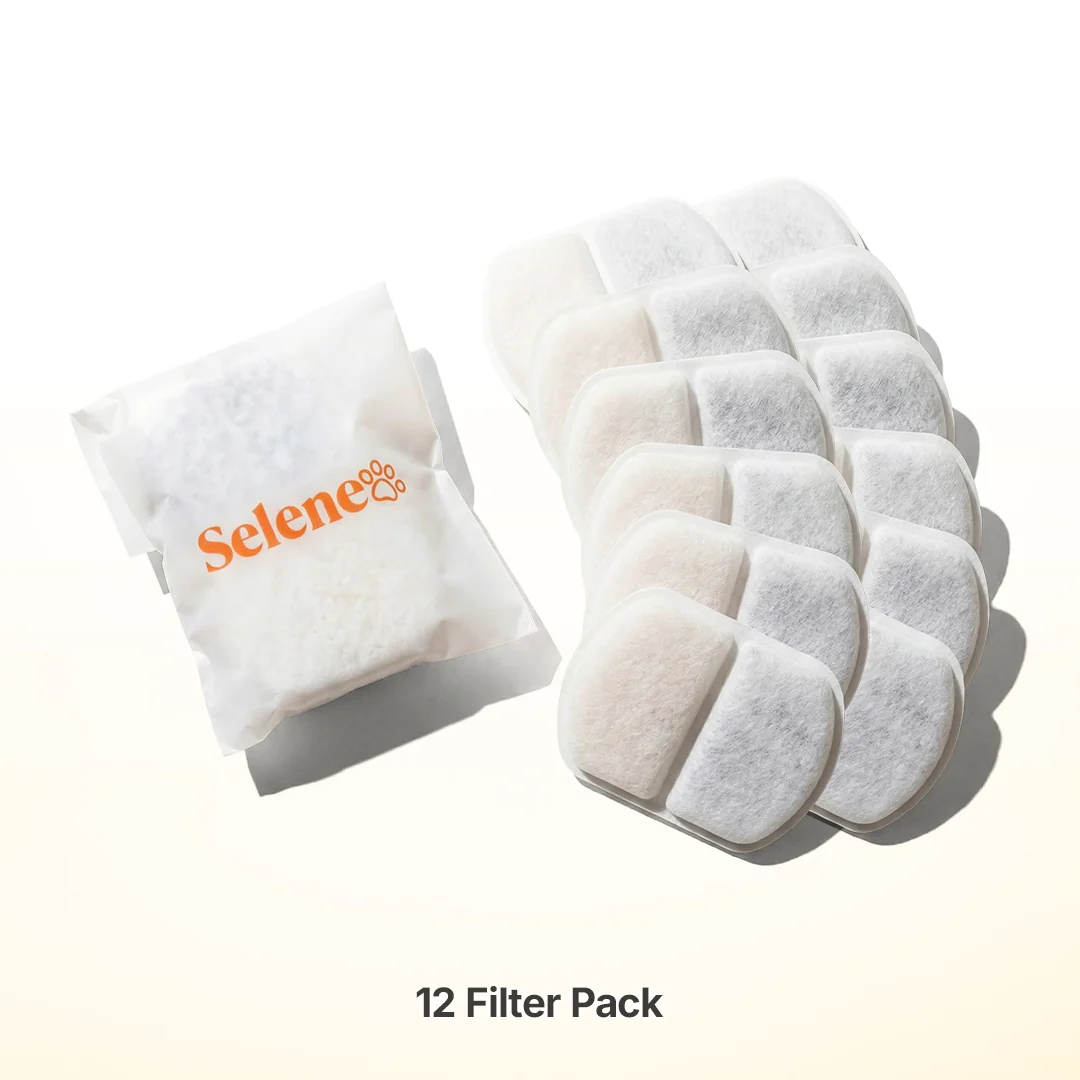 Plug-In 2.0 Fountain Filters - Image 6