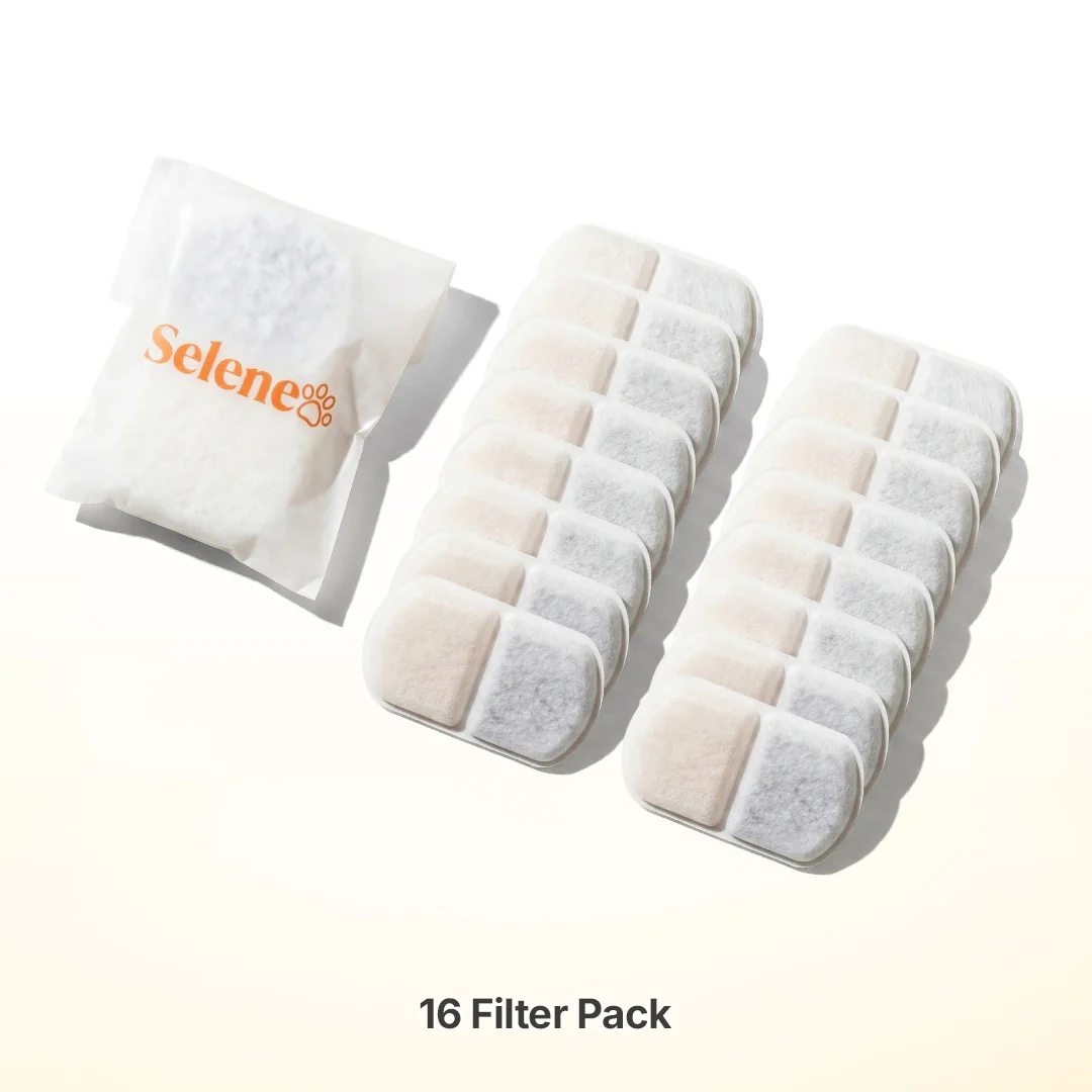 Plug-In 2.0 Fountain Filters - Image 7