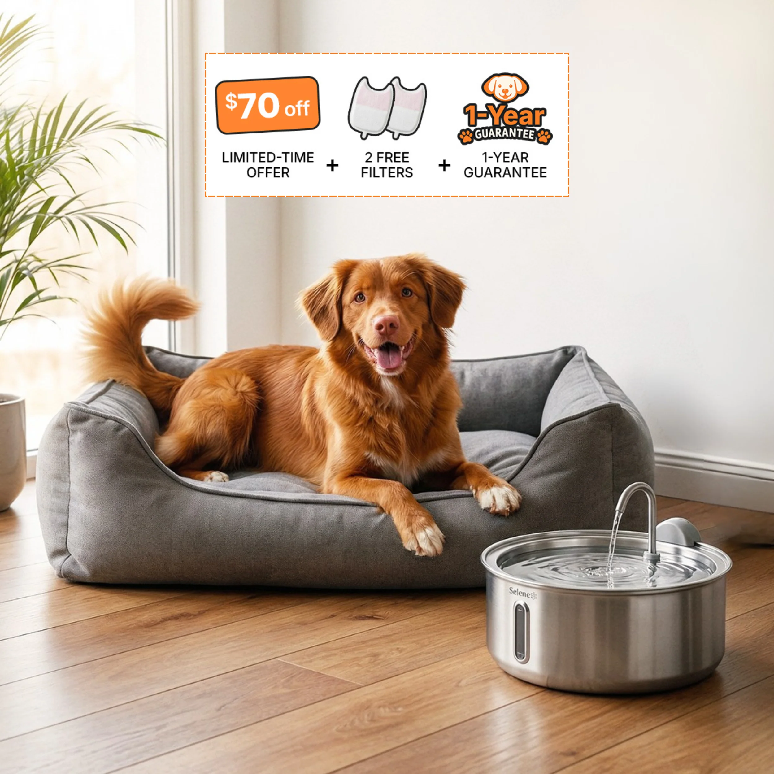 The Doggy Fountain™ - Image 19