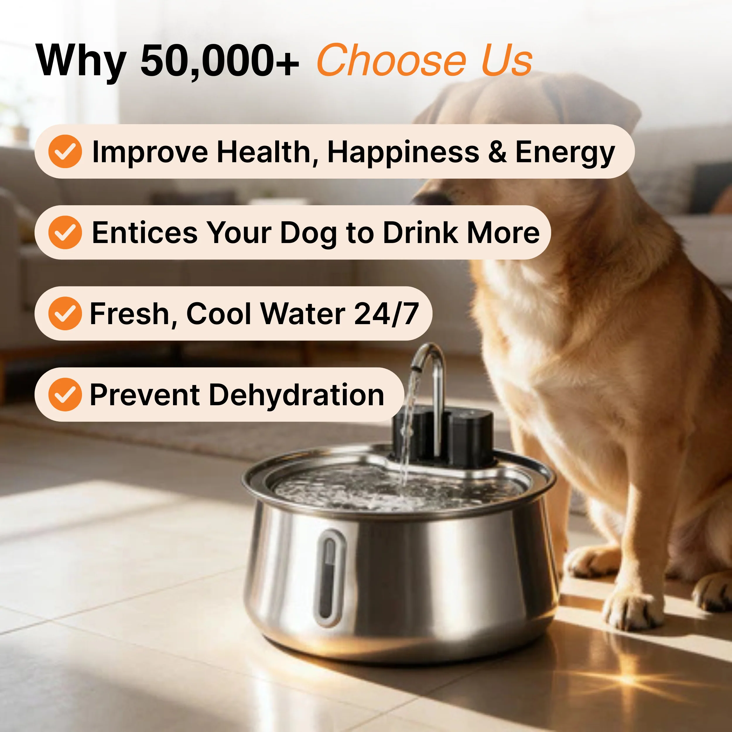 Wireless Doggy Fountain™ - Image 3